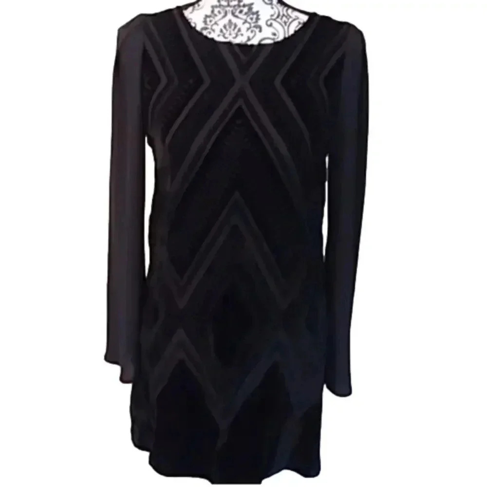Express Open Back Long Sleeve Velvet Dress